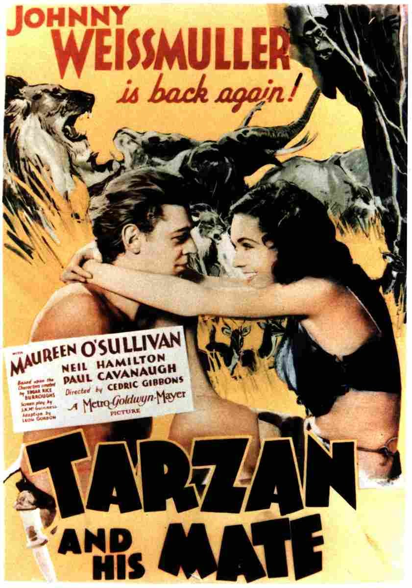  Tarzan and His Mate 17 film star poster A4 Photo Print