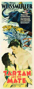  Tarzan and His Mate 20 film star poster A4 Photo Print