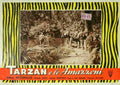  Tarzan and the Amazons 05 film star poster A4 Photo Print
