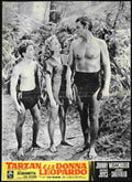  Tarzan and the Leopard Woman 10 film star poster A4 Photo Print