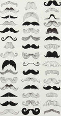 Tash barber advert A4 Photo Print