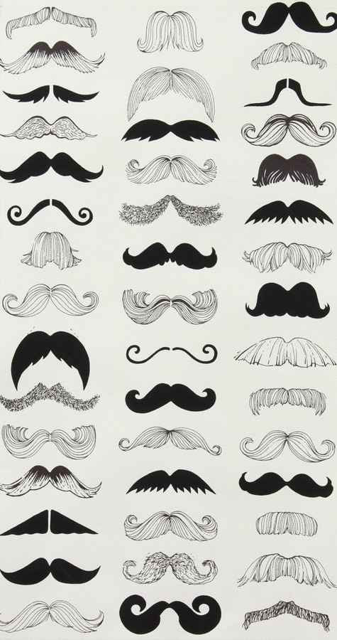 Tash barber advert A4 Photo Print