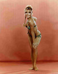 Tate Sharon 3 film star poster A4 Photo Print