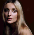 Tate Sharon 5 film star poster A4 Photo Print