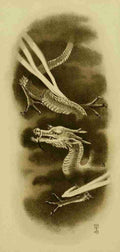 Tatsu the dragon Mythological Japan 1902 A4 Photo Print