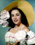 Taylor Elizabeth 28 film star poster A4 Photo Print