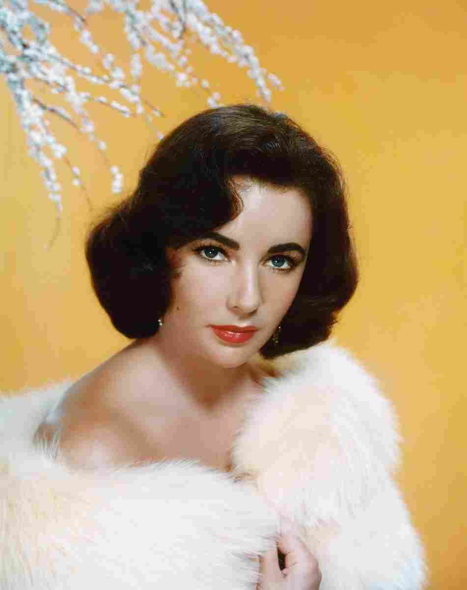 Taylor Elizabeth 5 film star poster A4 Photo Print
