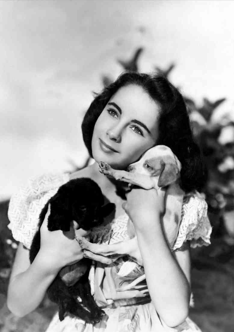 Taylor Elizabeth National Velvet 1 A4 Photo Print