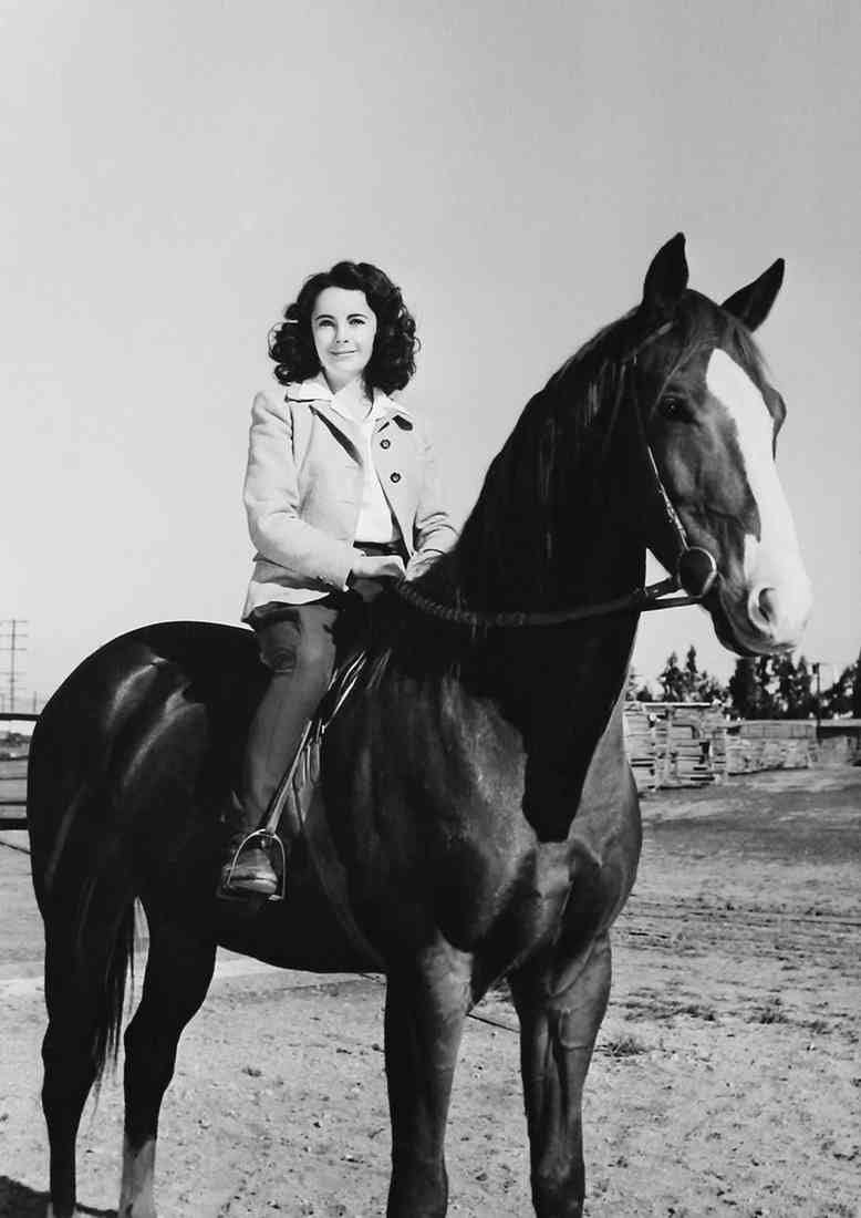 Taylor Elizabeth National Velvet z1 A4 Photo Print