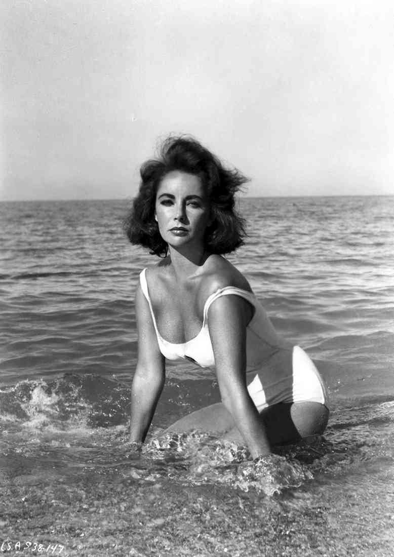 Taylor Elizabeth Suddenly Last Summer 01 2021 A4 Photo Print