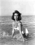 Taylor Elizabeth Suddenly Last Summer 1 film star poster A4 Photo Print