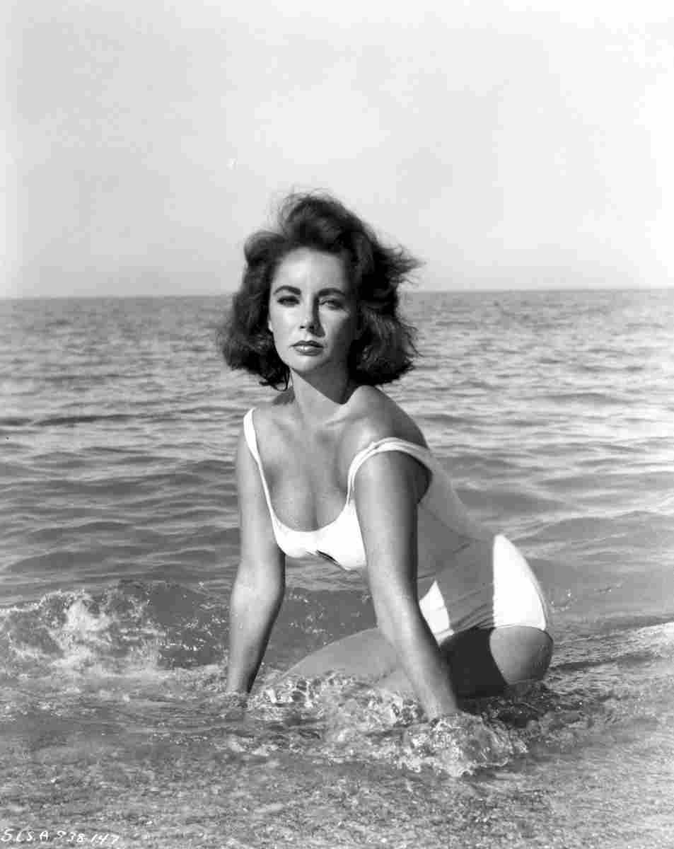 Taylor Elizabeth Suddenly Last Summer 1 film star poster A4 Photo Print