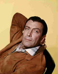 Taylor Robert 6 film star poster A4 Photo Print
