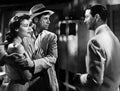 Taylor Robert Bribe The 1 film star poster A4 Photo Print