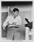 Taylor Rod Birds The z1 film star poster A4 Photo Print