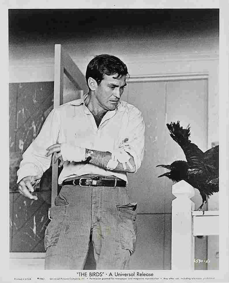 Taylor Rod Birds The z1 film star poster A4 Photo Print