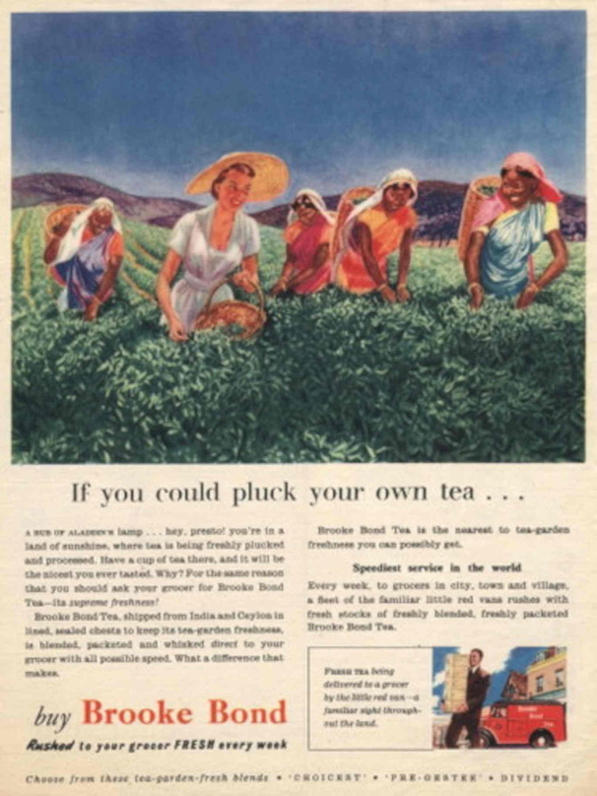 Tea Plantation Brook 1950s Vintage Retro Advert Poster