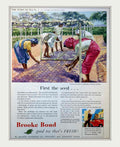Tea Plantation Brooke Vintage Retro Advert Poster A4 Photo Print
