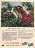 Tea Plantation Woman 1950s Vintage Retro Advert Poster