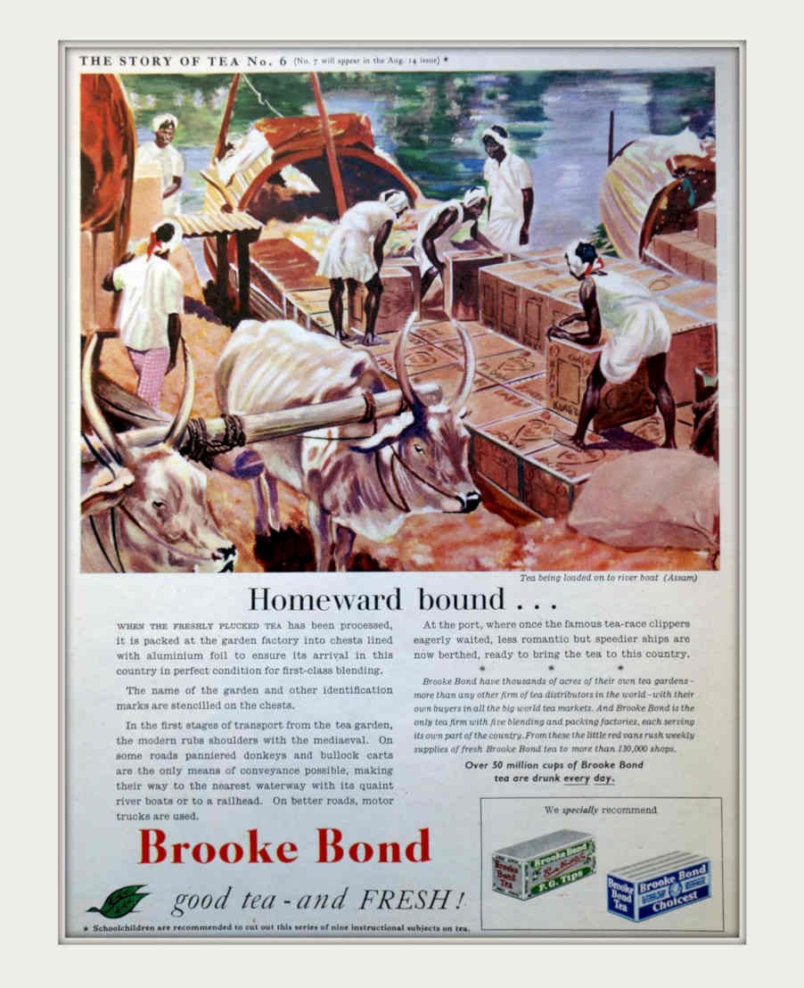 Tea River Boat Vintage Retro Advert Poster A4 Photo Print