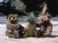 Teddy Bears Satged Beach Bears Pineapples A4 Photo Print
