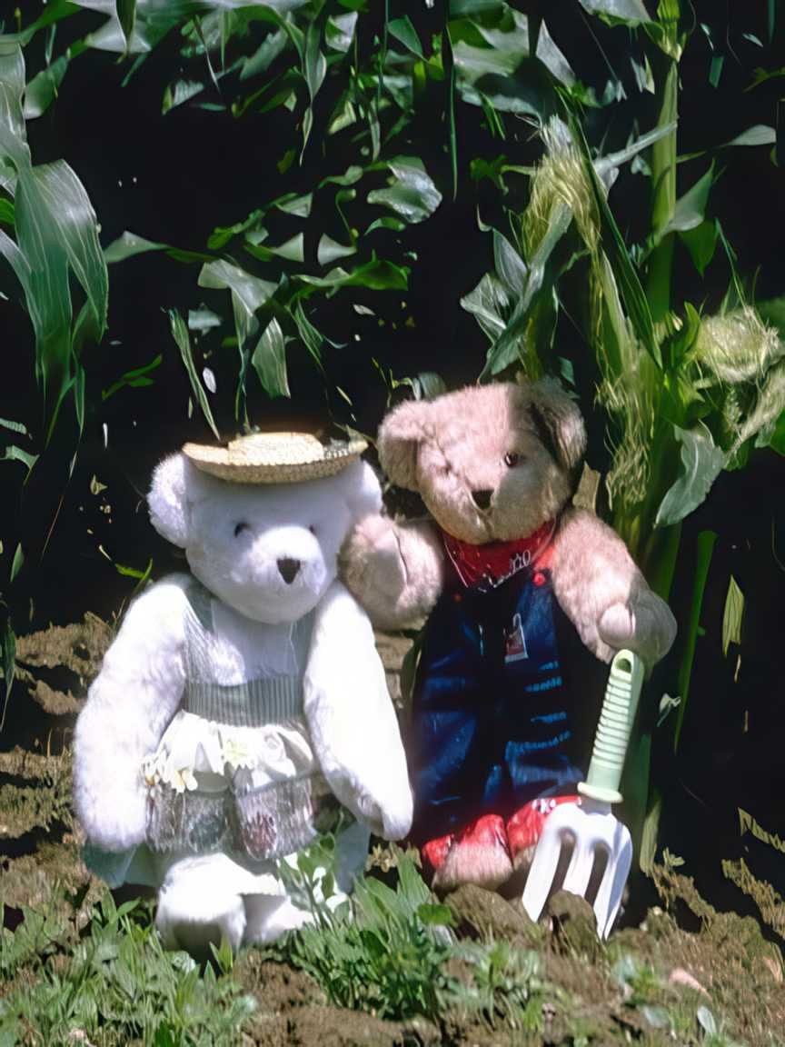 Teddy Bears Satged Bears Garden Toys A4 Photo Print