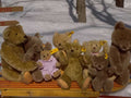 Teddy Bears Satged Steiff Bears Snow A4 Photo Print