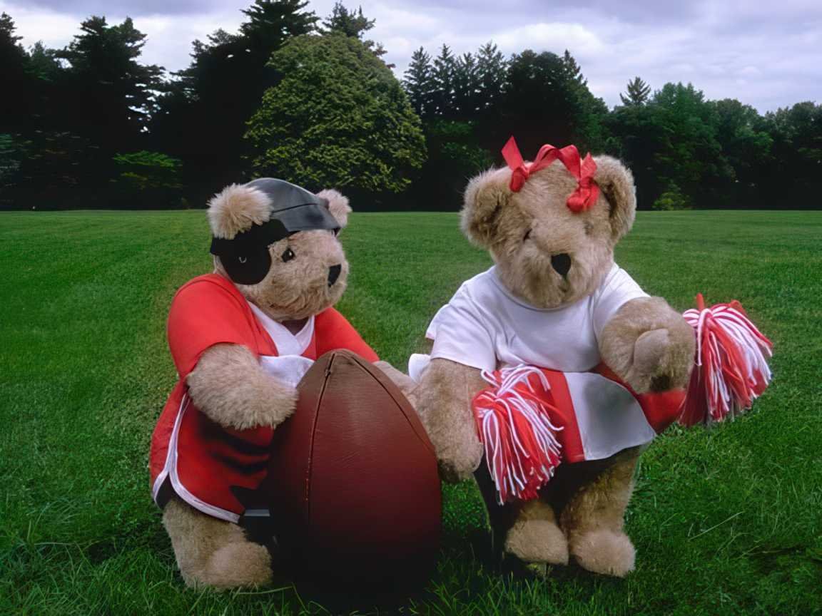 Teddy Bears Satged Teddy Bear Sports A4 Photo Print