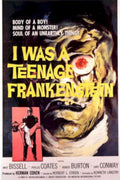 Teenage Frankenstein 1973 1950s Vintage Retro Advert Poster