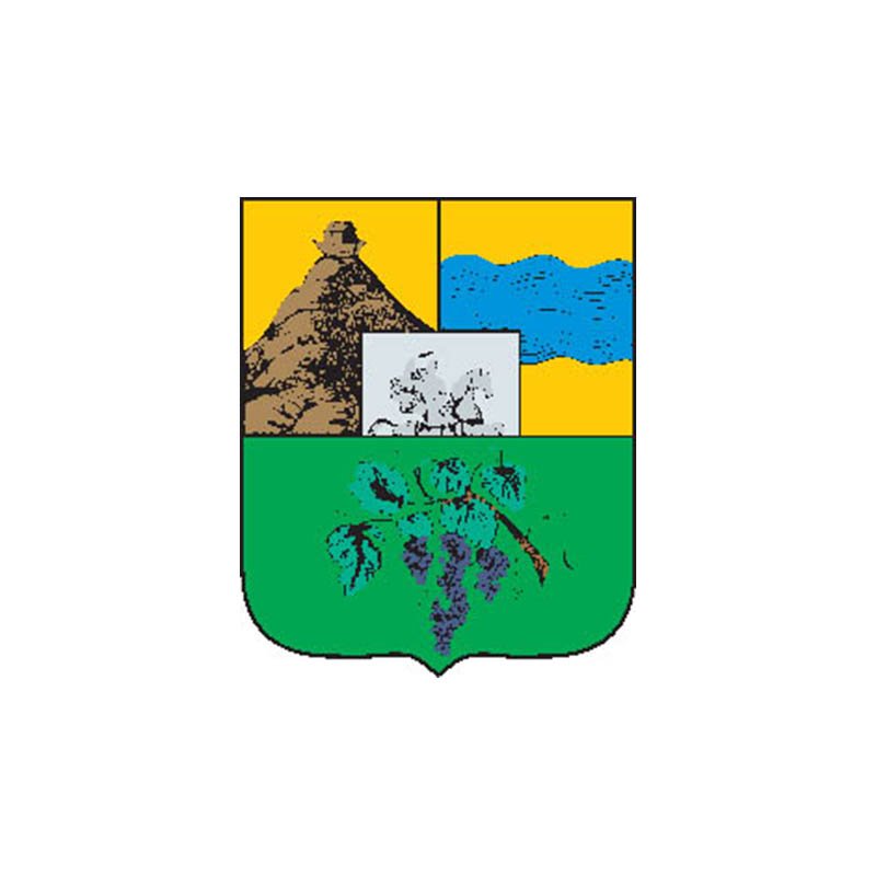 Telavi1843 City Coat Of Arms N1056 A4 Photo Print