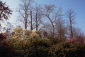 Temple Garden Ruins A4 Photo Print