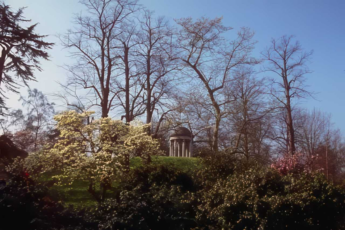Temple Garden Ruins A4 Photo Print
