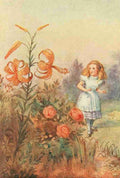 Tenniel J Alices Wonderland 1911 The Tiger lily talks A4 Photo Print