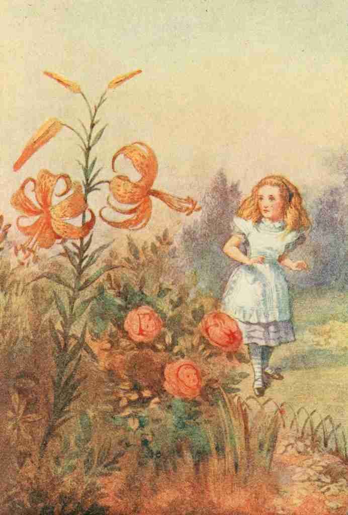 Tenniel J Alices Wonderland 1911 The Tiger lily talks A4 Photo Print