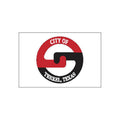 Terrel City Flag N6214 A4 Photo Print