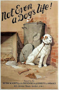 Terrier Dog Royal Vintage Retro Advert Poster A4 Photo Print