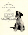 Terrier Washington Days 1930s Vintage Retro Advert Poster