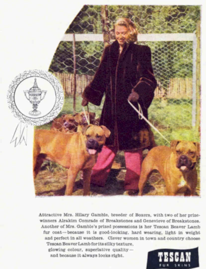Tesan Skins Boxer Vintage Retro Advert Poster A4 Photo Print