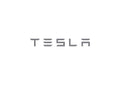 Tesla1 A4 Photo Print