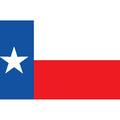 Texas Flag N2602 A4 Photo Print