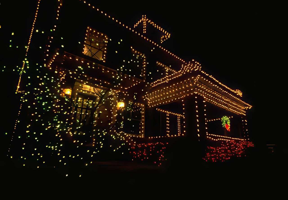 Texas Holiday Lights House 1 A4 Photo Print