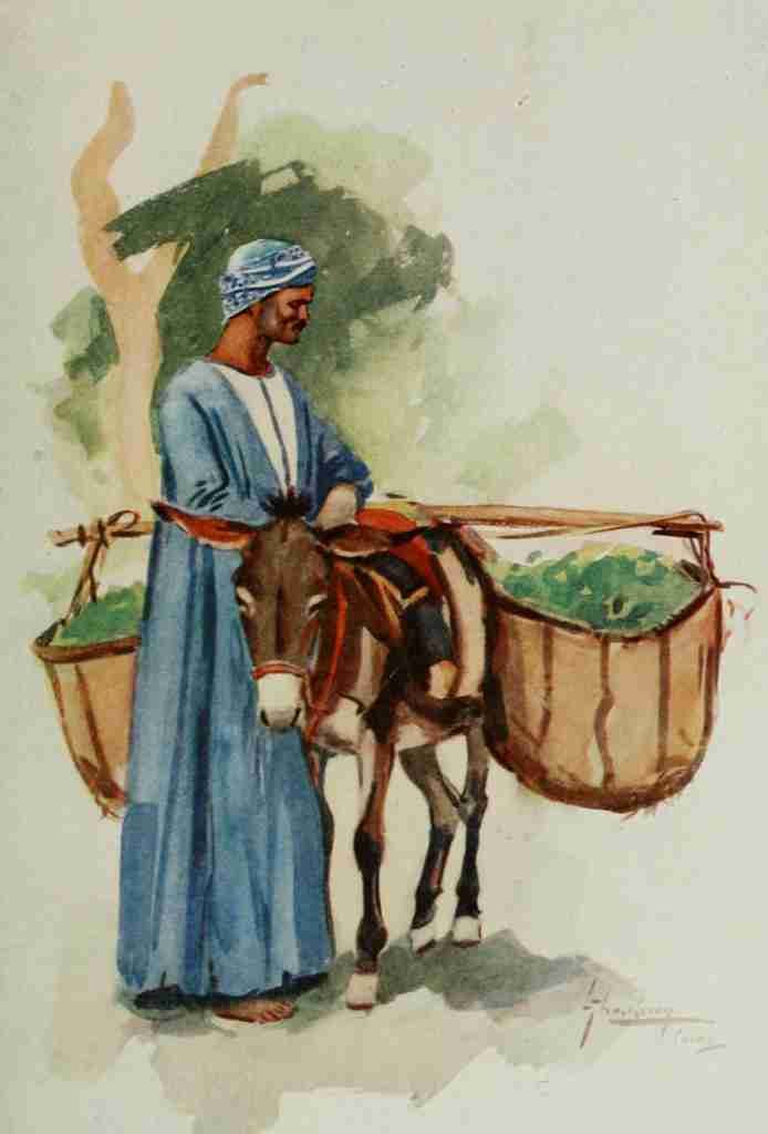Thackeray Lance 1869 1916 The People of Egypt 1916 Vegetable seller Vintage A4 Photo Print