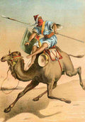 The Animal Kingdom 1897 Camel A4 Photo Print