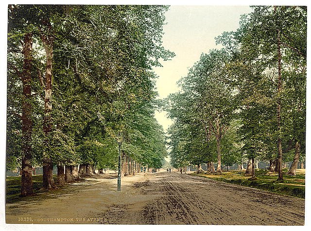The Avenue Southampton Vintage A4 Photo Print