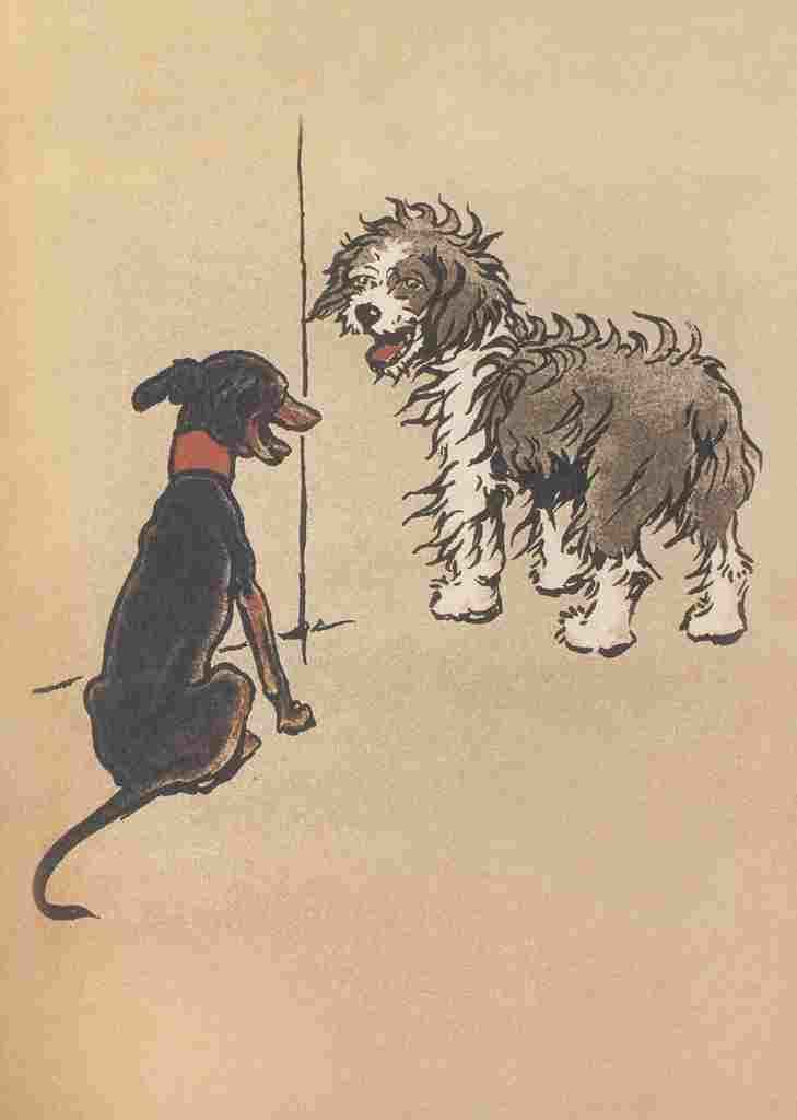 The Bobtail Puppy Book 1914 1 A4 Photo Print