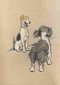 The Bobtail Puppy Book 1914 2 A4 Photo Print
