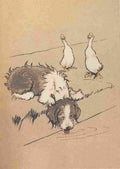 The Bobtail Puppy Book 1914 3 A4 Photo Print