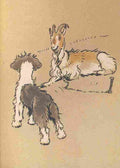 The Bobtail Puppy Book 1914 5 A4 Photo Print
