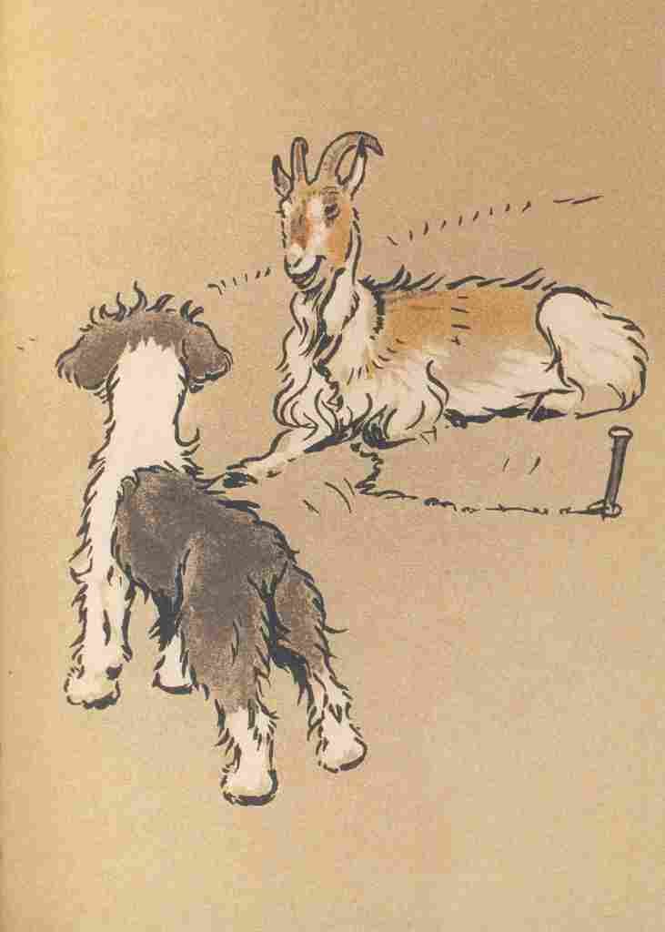 The Bobtail Puppy Book 1914 5 A4 Photo Print