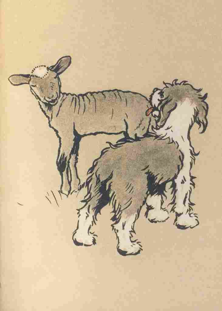 The Bobtail Puppy Book 1914 6 A4 Photo Print
